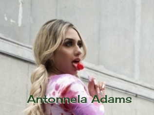 Antonnela_Adams Vidéos Kochonnes