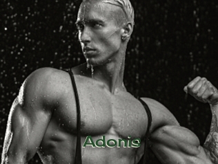 Adonis_