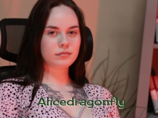 Alicedragonfly