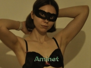 Aminet