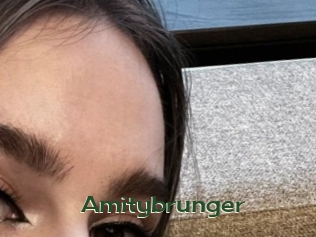 Amitybrunger
