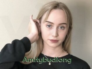 Amitybudlong