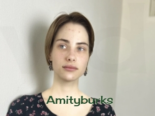 Amityburks