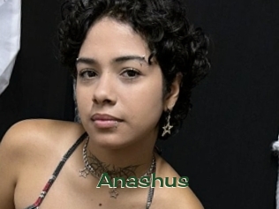anashus Vidéos Kochonnes