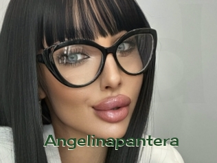 Angelinapantera
