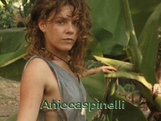 Aniccaspinelli