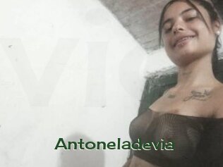 Antoneladevia
