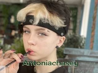 Antoniachasey