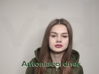 Antoniacordner