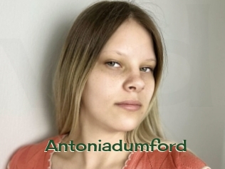Antoniadumford