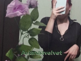 arianaavelvet Vidéos Kochonnes