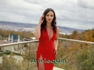 arielequin Vidéos Kochonnes