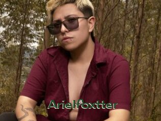 Arielfoxtter