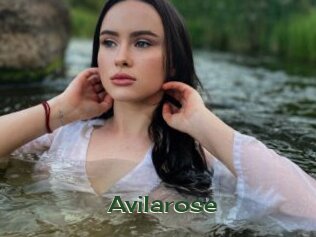 avilarose Vidéos Kochonnes