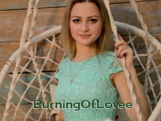 BurningOfLovee
