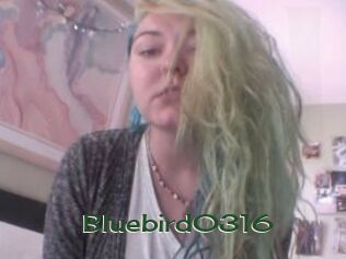 Bluebird0316