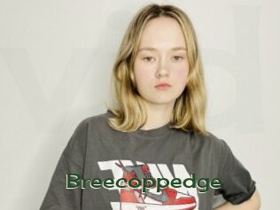 Breecoppedge