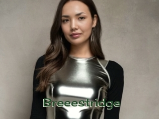 Breeestridge
