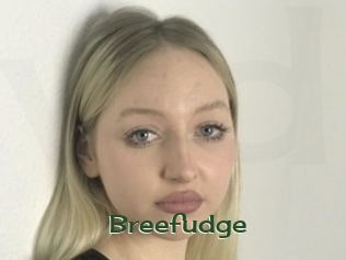 Breefudge