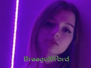 Breegulliford