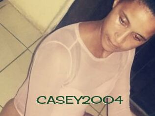 CASEY2004