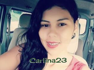 Carlina23