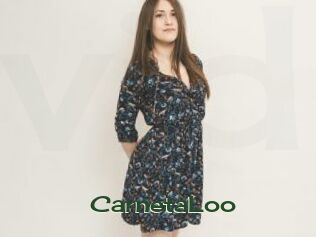 CarnetaLoo
