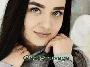 ChatSauvage