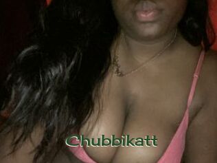 Chubbikatt