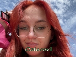 Catecovil