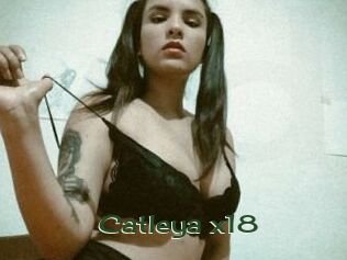 Catleya_x18