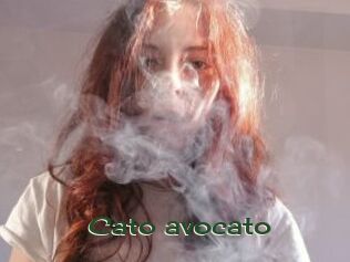 cato_avocato Vidéos Kochonnes