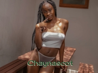 Chaynascot