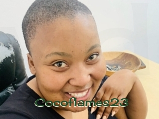 cocoflames23 Vidéos Kochonnes