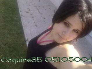 coquine85-05105004 Vidéos Kochonnes