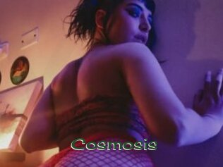 Cosmosis