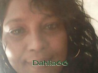 Dahlia66