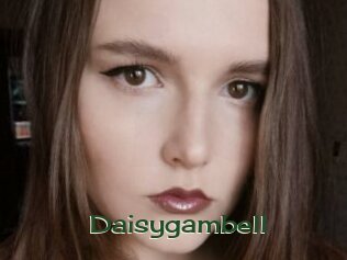 Daisygambell