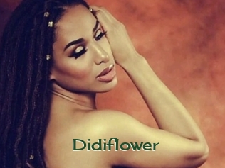 Didiflower