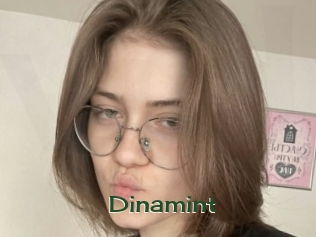 Dinamint