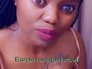 Easterncapeflower