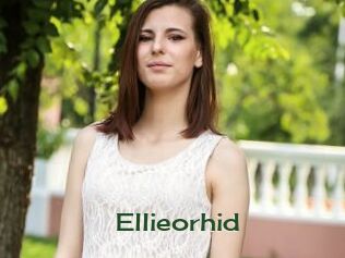 Ellieorhid
