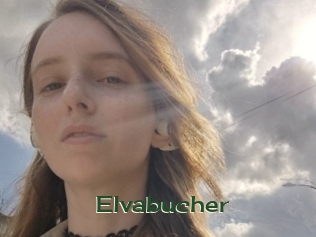 Elvabucher