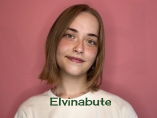 Elvinabute