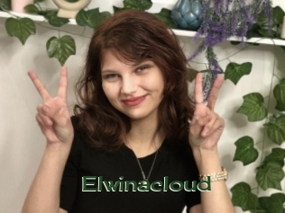 Elwinacloud