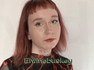 elwinebuskey Vidéos Kochonnes