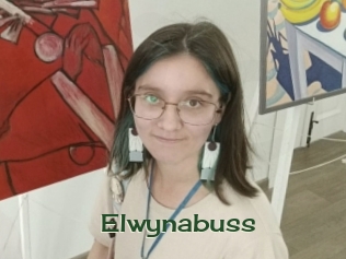Elwynabuss