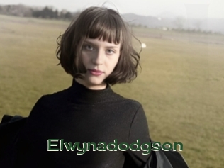 Elwynadodgson