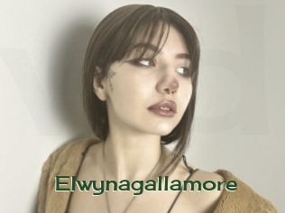 Elwynagallamore