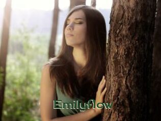 Emilyflow